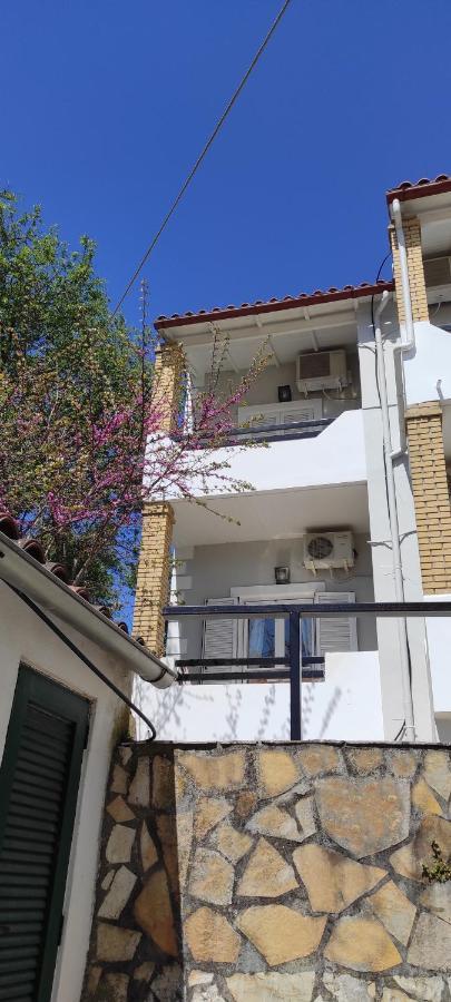 Boho Studios Liapades - Near Restaurants, Bus And Beaches 外观 照片